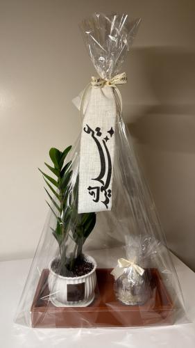 صينيه+زاميا+شوكلت في فازه رجاجيه