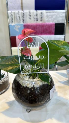 تغريسه مبروك الملكة