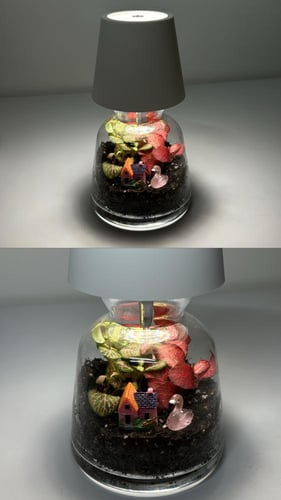 غابه الاباجورة حديقه زجاجيه