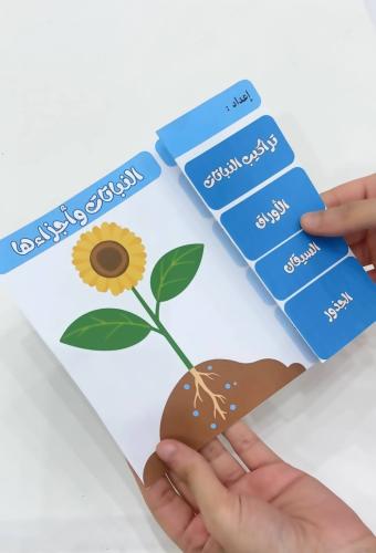 مطوية النباتات واجزاءها - علوم صف ثالث ابتدائي