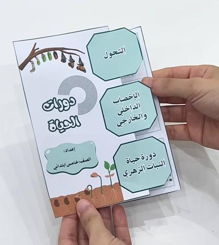مطوية دورات الحياة - علوم صف خامس ابتدائي