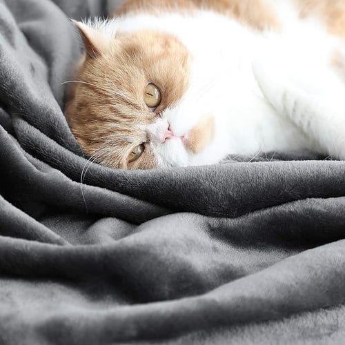 بطانية شبيه فرو خروف 200*230