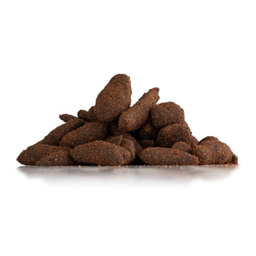 عود المشايخ