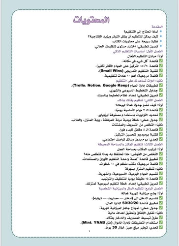 دليل التنظيم الذكي