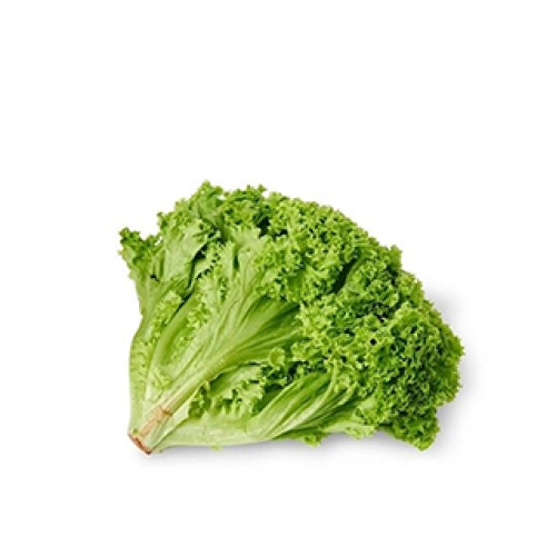 خس لولا بيوندا هولندي-1حبة