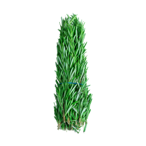 اكليل الجبل-حزمة