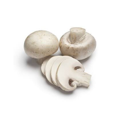 فطر أبيض هولندي-250غرام
