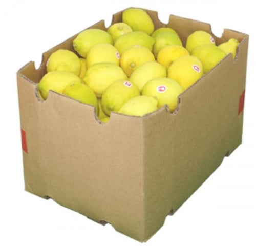 ليمون اصفر 15 كيلو