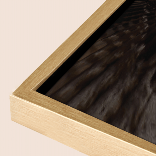 لوحة فنية لصقر محلق يفرد جناحيه بقوة، وشريط جانبي...