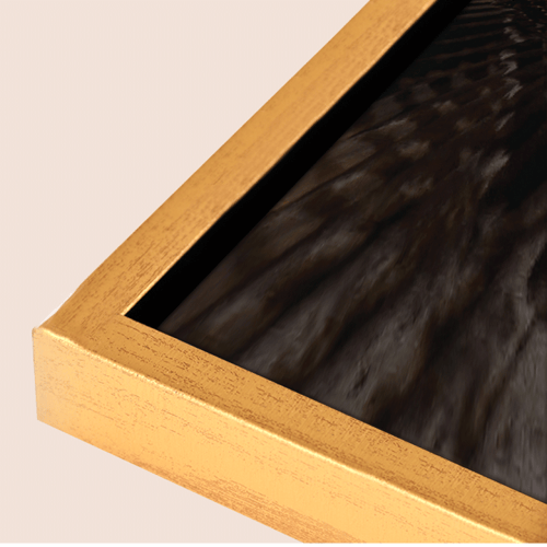 لوحة فنية لصقر محلق يفرد جناحيه بقوة، وشريط جانبي...