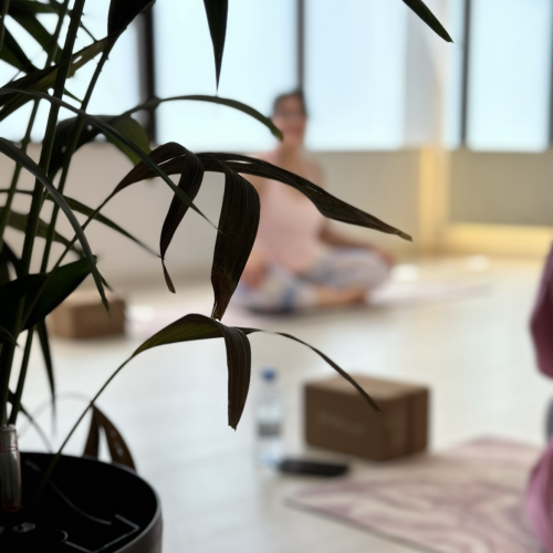 تحرير الغضب | جلستين