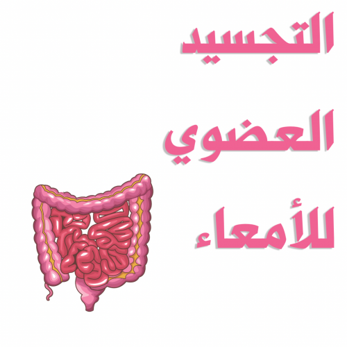 جلسة تحرير الأمعاء