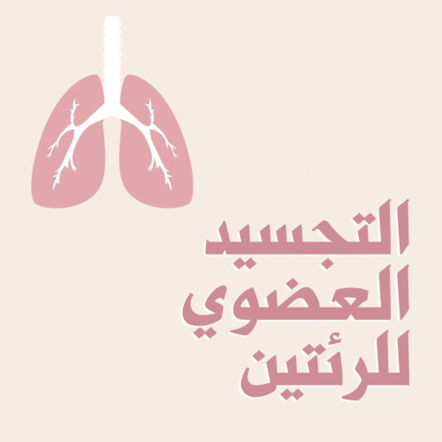 التجسيد العضوي لعضو الرئتين