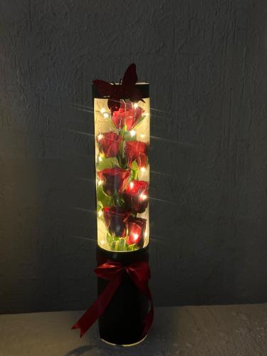 Illuminated stand