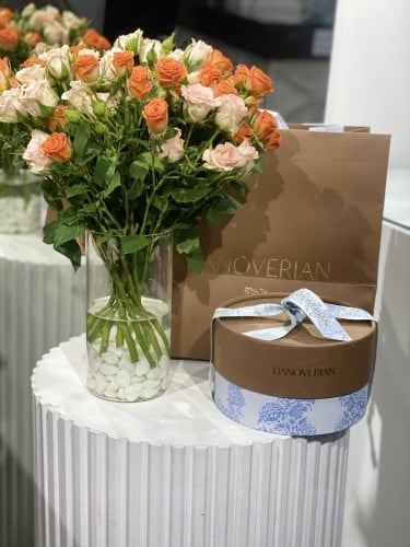 فازة مع شوكلت هنوفيرين