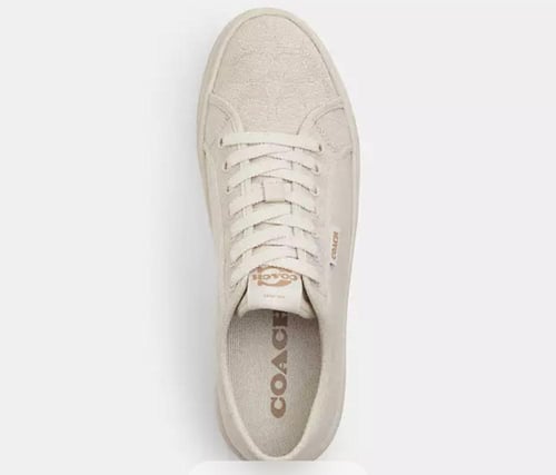 حذاء كوتش Canvas Sneaker