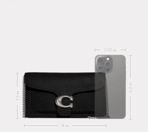 حقيبه كوتش Tabby Chain Clutch