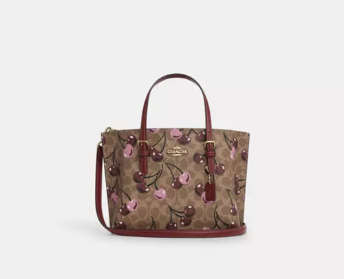 حقيبه كوتش المقاس الوسط Mollie Tote Bag 25