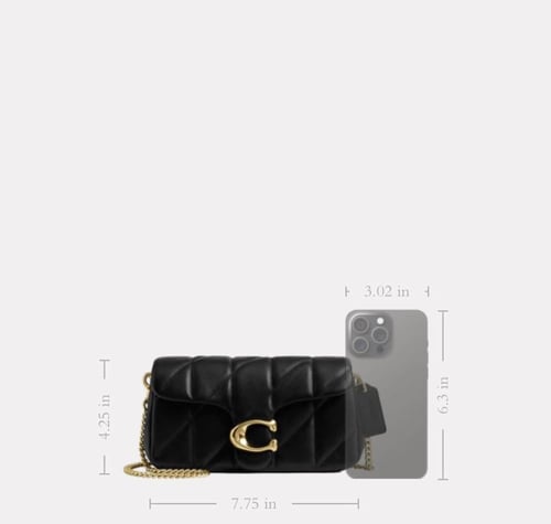 حقيبه كوتش Tabby Chain Crossbody Bag 19