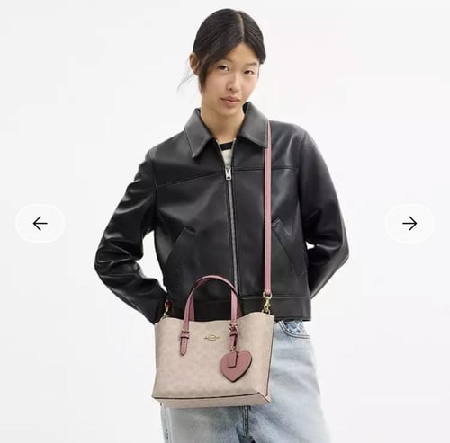 حقيبه كوتش المقاس الوسط Mollie Tote Bag 25