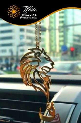 تعليق سياره الاسد