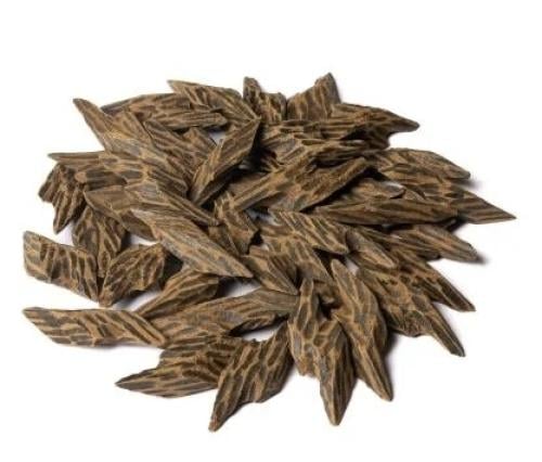 اوقية تايقر 28 جرام