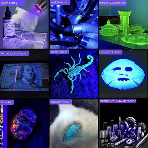 كشاف يدوي لكشف العقارب