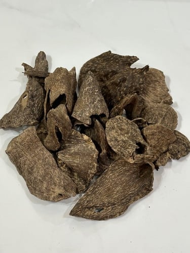 كلمنتان قواقع VIP