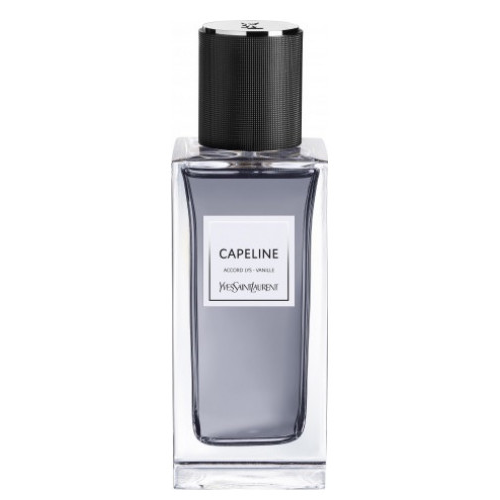 Capeline Yves Saint Laurent