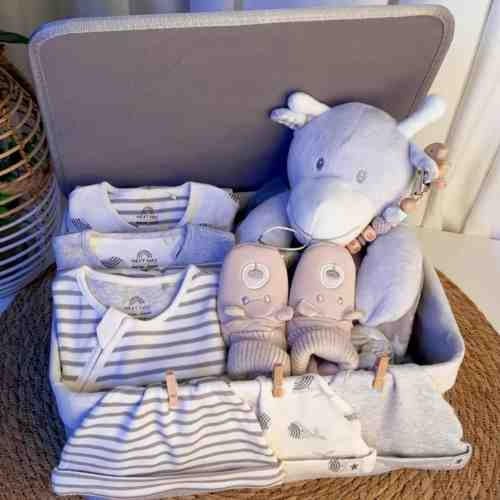 بوكس ولادي من نكست ٣-6/6-9 اشهر