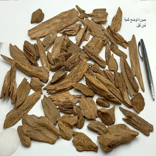 مروكي حي