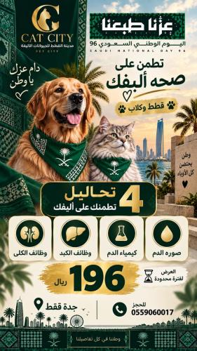 باكج اليوم الوطني 4 تحاليل