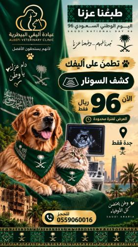 كشف سونار