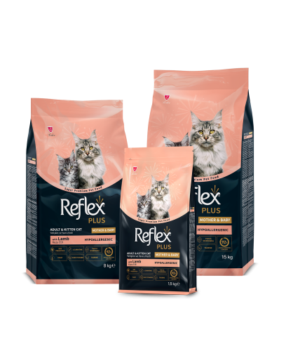 ريفلكس بلس طعام جاف للقطط الأم وصغارها بلحم الضأن...