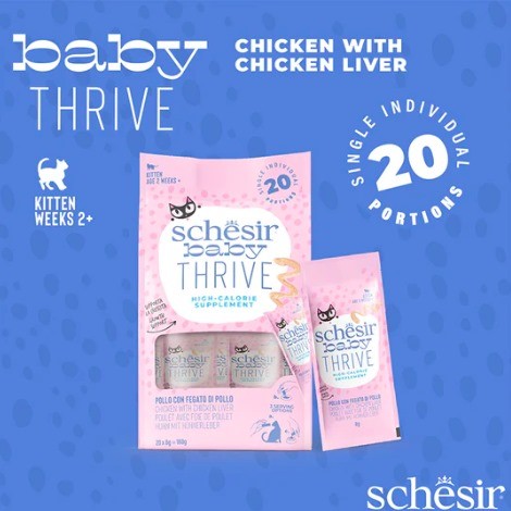 شيزر بيبي ثرايف اظرف طعام رطب بالدجاج والكبد للقطط...