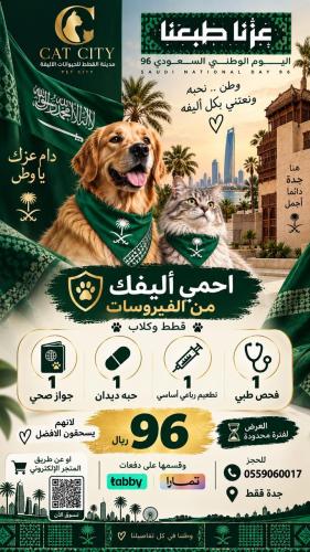 باكج اليوم الوطني 4 خدمات