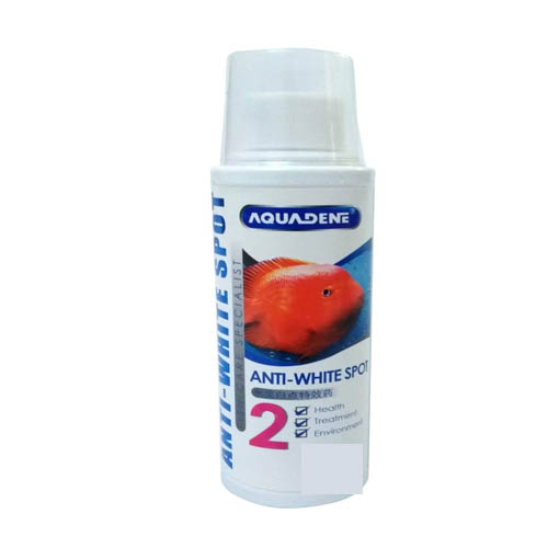 Disinfectant and purification liquid for ornamenta...