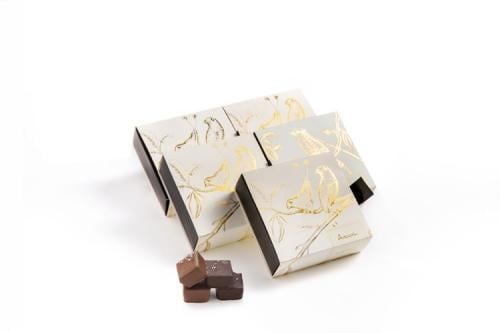 Anush Belgian chocolate