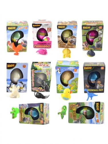 بيضة تفقس في الماء عدة أشكال