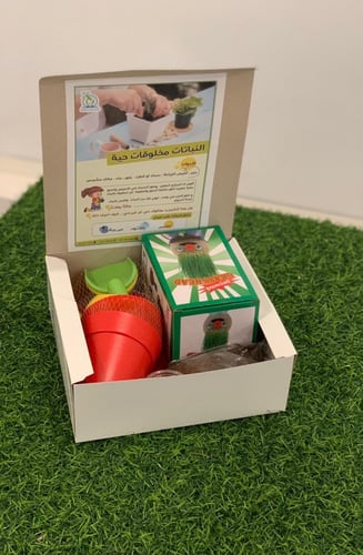 ميني صندوق التجارب