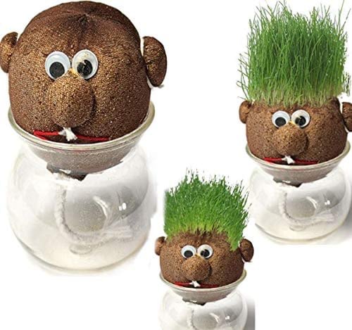 حوض نبات بشكل دمية. الزراعة