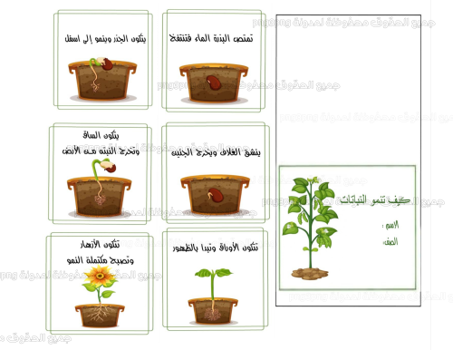 مطوية علوم كيف تنمو النباتات للصف ثاني ابتدائي الف...