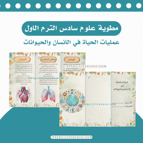 مطوية عمليات الحياة في الانسان والحيوانات علوم للص...