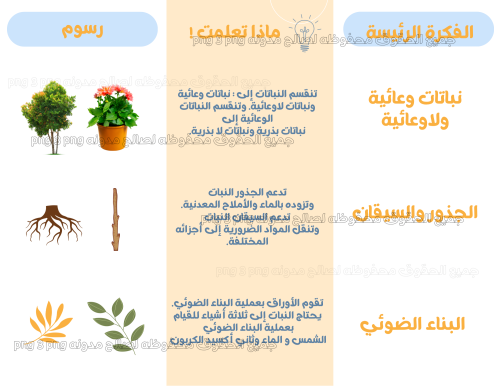 مطويه علوم النباتات ماده العلوم الصف الخامس ورقة ع...