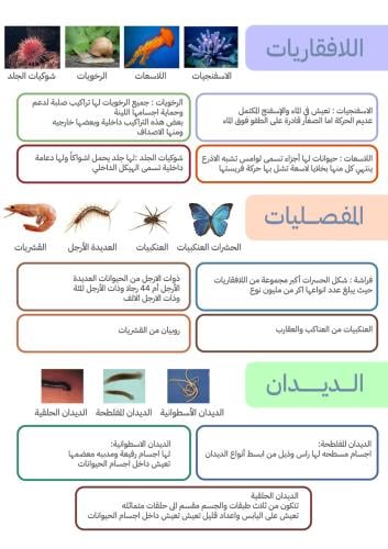 مطويه علوم للافقاريات ماده العلوم الصف الرابع ابتد...