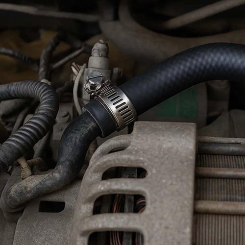 قفيز لي تايواني