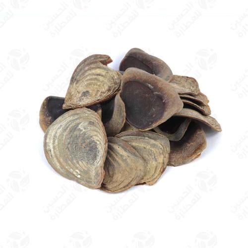 ظفرة كبيرة 250 جرام