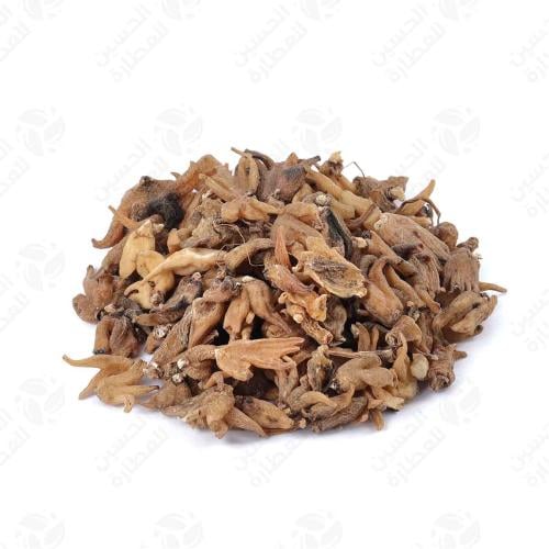 ثعلب بنجة 50 جرام