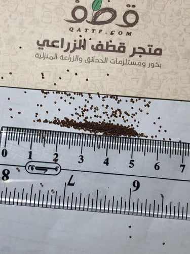 بذور الرقروق بالوزن المغذية للكمأة أو الفقع