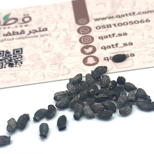 بذور خبز النحل العاسلة